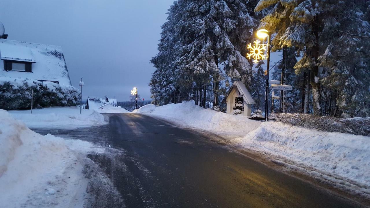 Ferienhaus Bergidylle Winterberg Exterior foto